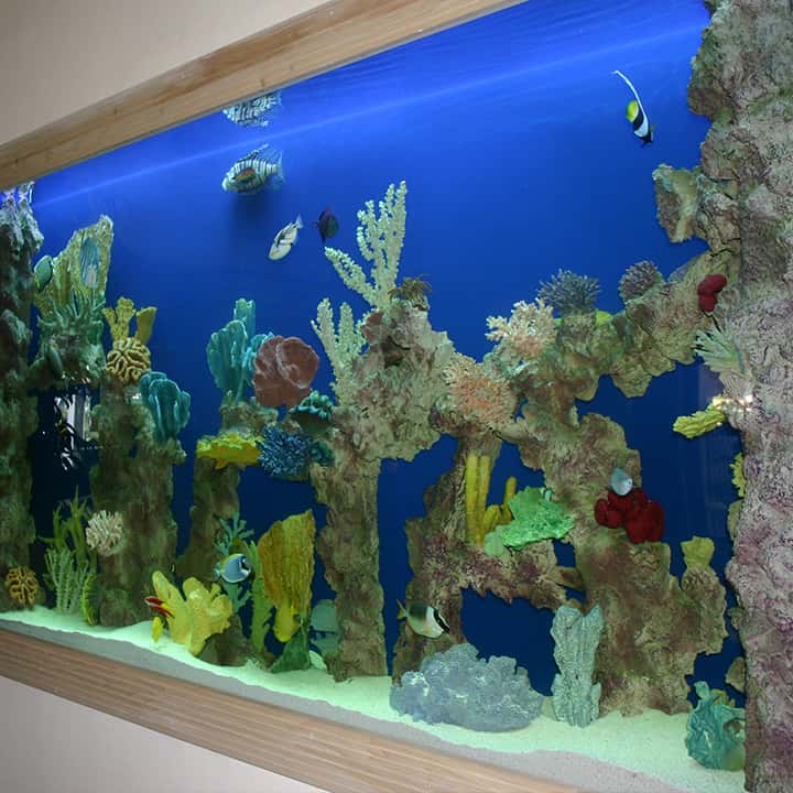 Aquarium Installation in Sarasota, FL.